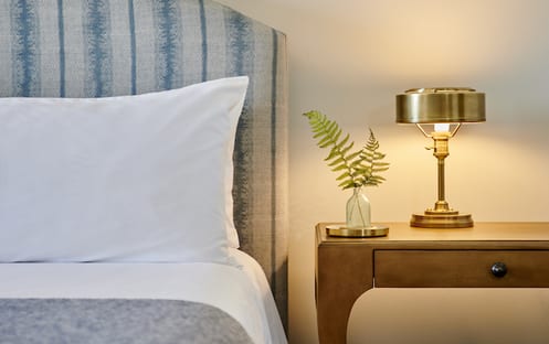 Deluxe King (1 King Bed)